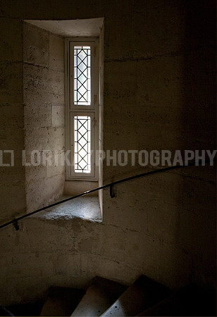 Notre Dame Stairs window_MG_4623