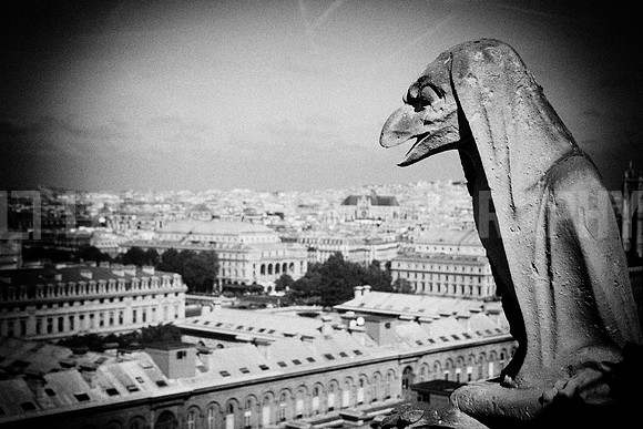 Notre Dame gargoyles_MG_4559