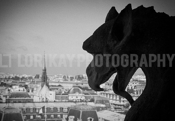 Notre Dame Gargoyles_MG_4574