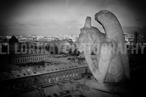 Notre Dame_MG_4547